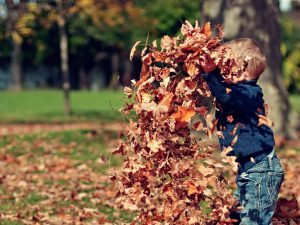 Article: Tiny Toddler’s Terrible Tantrums