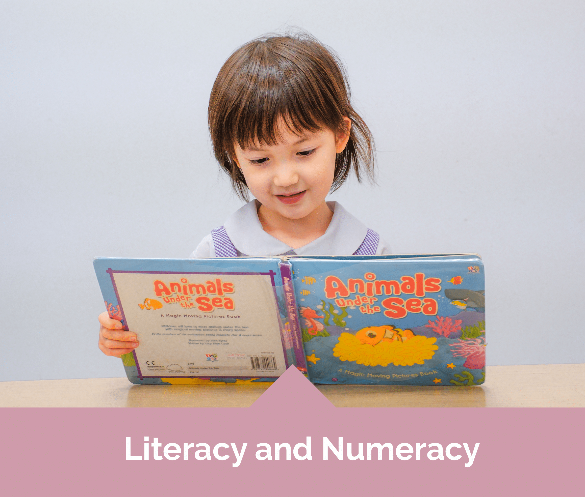 Mulberry Learning Preschool Literacy and Numeracy