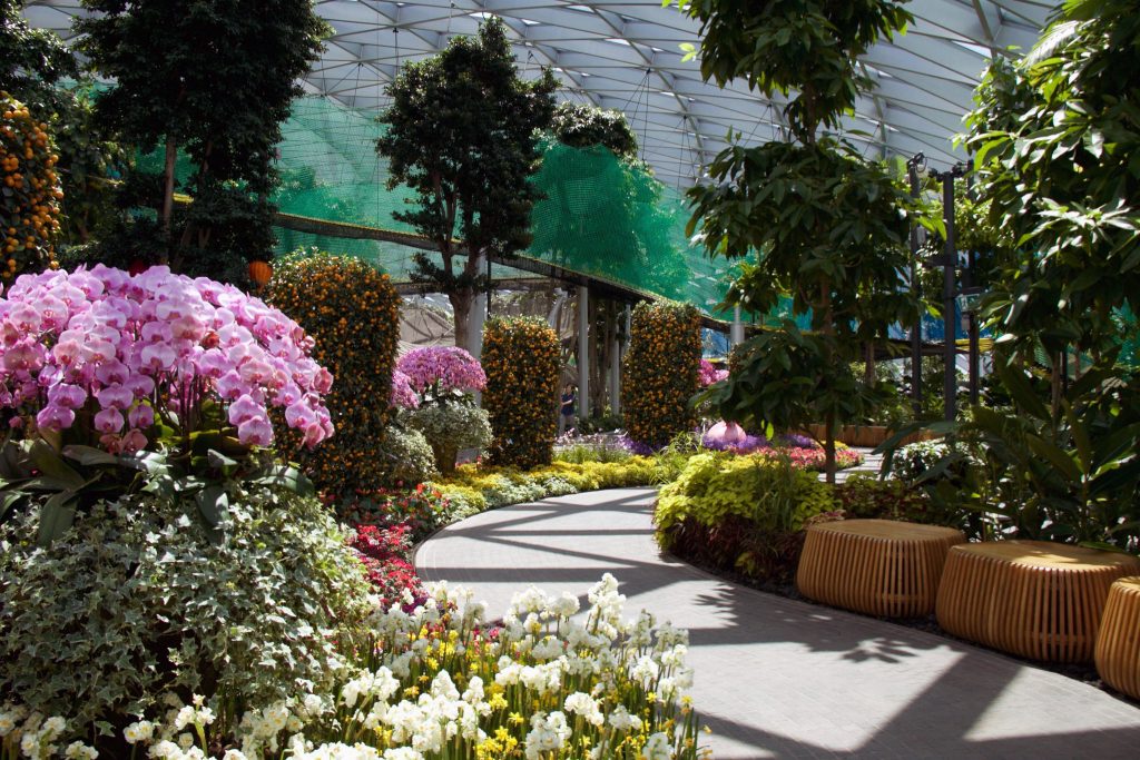 Family-Friendly Canopy Park at Jewel Changi Airport