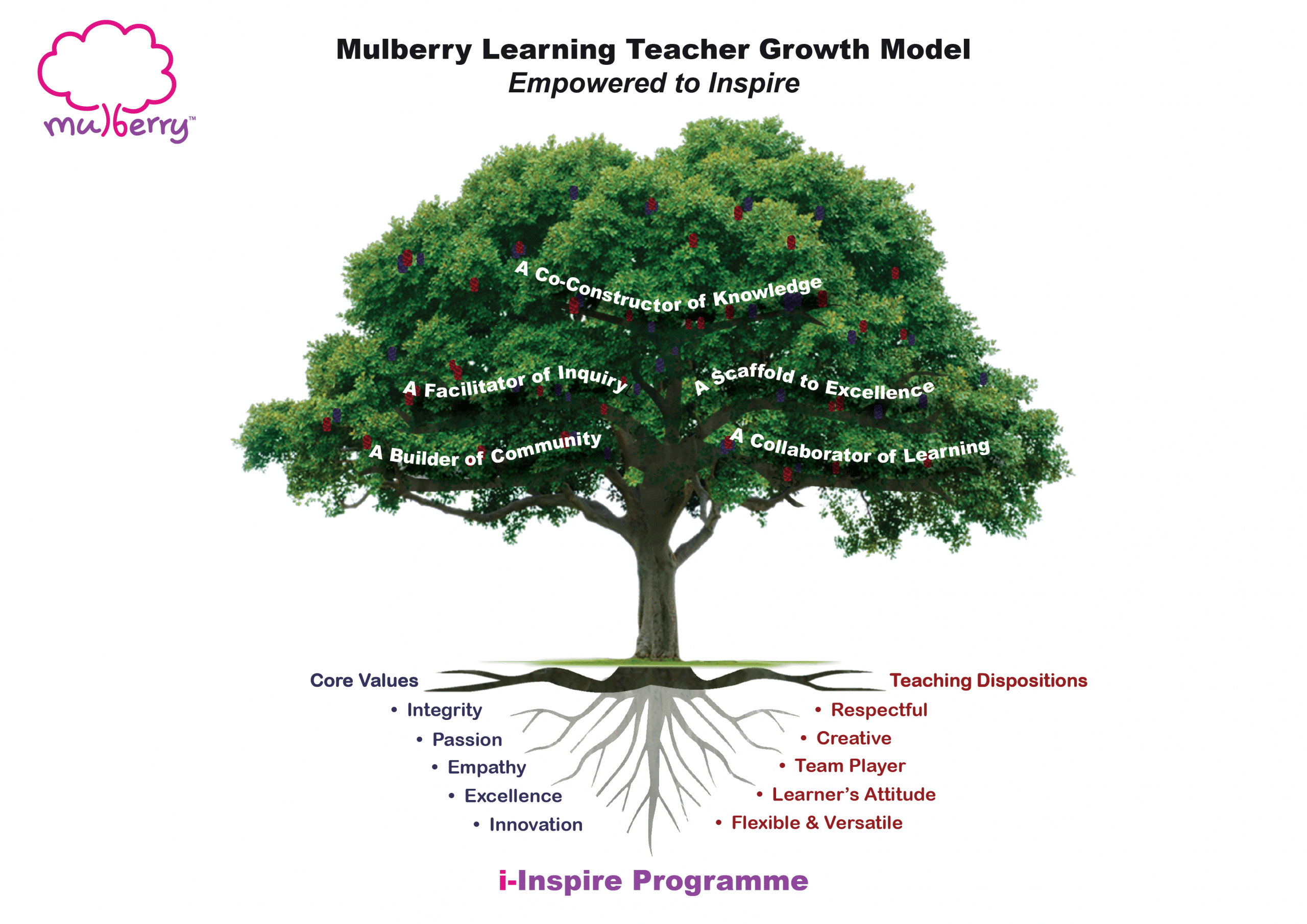 Mulberry Learning Revamp Professional Development Programme for Teachers